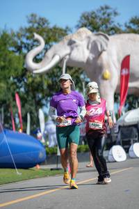 BIB: 
                            <button type="button" onclick="openModal(26544257)" class="btn btn-primary btn-sm float-right btn-popup" data-toggle="modal" data-target=".modal-high-quality">
                        <i class="fas fa-shopping-cart"></i> Add to Cart
                    </button>
                                            <button type="button" onclick="isThisMe(26544257, true)" class="btn btn-success btn-sm float-right btn-popup btn-isme hidden" data-toggle="tooltip" data-placement="bottom" title="นี่คือรูปของคุณใช่ไหม คลิกที่นี่เพื่อเอาเข้าอัลบั้ม">
                        <i class="fas fa-plus"></i> Add to album
                    </button>
                    <button type="button" onclick="isThisMe(26544257, false)" class="btn btn-warning btn-sm float-right btn-popup btn-isnotme hidden">
                        <i class="fas fa-ban"></i> Remove from album
                    </button>